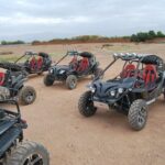 Dunes Quad or Buggy Tour In Agadir - Who Should Book This Tour?