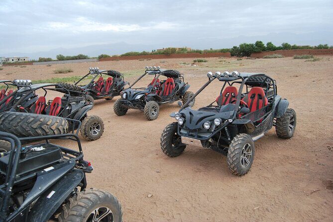 Dunes Quad or Buggy Tour In Agadir - Who Should Book This Tour?