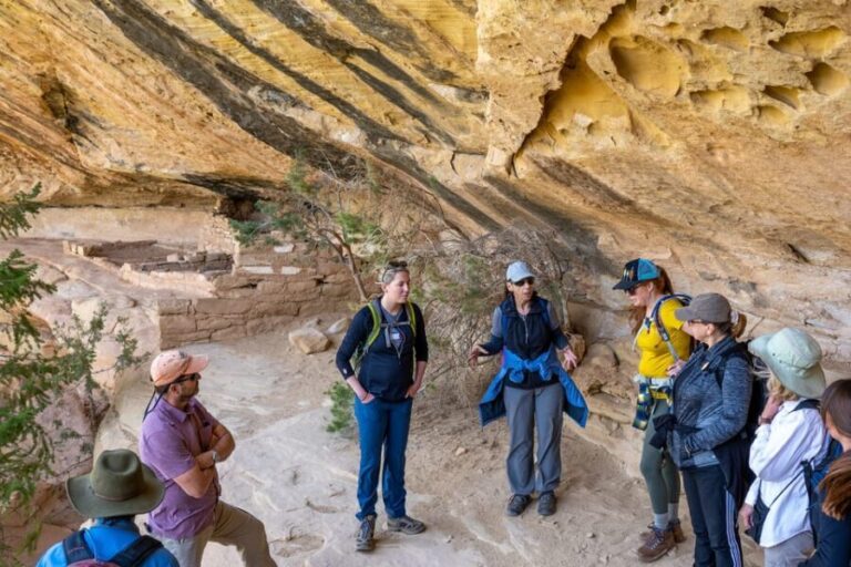 Durango Mesa Verde Express Tour With Tickets to Cliff Palace - Who Is This Tour Best For?