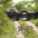 Durban: Big 5 Luxury Safari at an Award Winning Game Reserve  Zeiss Binoculars - The Experience: What Makes It Special?