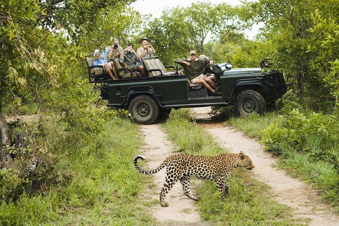 Durban: Big 5 Luxury Safari at an Award Winning Game Reserve  Zeiss Binoculars - The Experience: What Makes It Special?