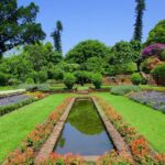 Durban City & PheZulu Cultural Village Day Tour from Durban - Who Should Consider This Tour?