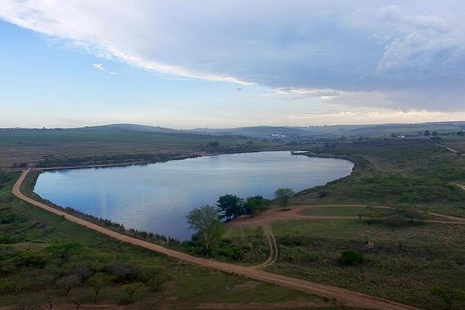 Durban Shore Excursion: Private Small Group Tala Game Reserve - An In-Depth Look at the Tala Game Reserve Tour
