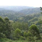 Durban Shore Excursion: Valley of 1000 Hills and PheZulu Tour - Key Points