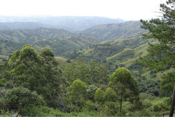 Durban Shore Excursion: Valley of 1000 Hills and PheZulu Tour - Key Points