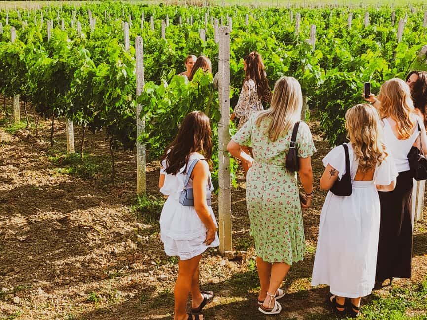 Durres Countryside Vineyards Wine & Food Tasting Tour - Who Should Consider This Tour?