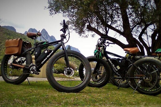 E-Bike Wine Tour Stellenbosch Countryside (Half Day) - Breaking Down the Experience: What to Expect