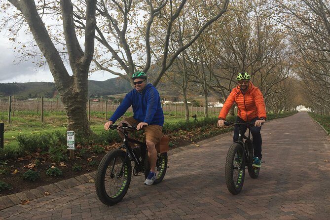 E-Bike Wine Tour Stellenbosch (Half Day) - Why this tour is a fantastic choice