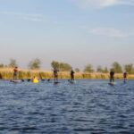 Early Bird Standup Paddletour to Fishing Harbours - Practical Details and What’s Included