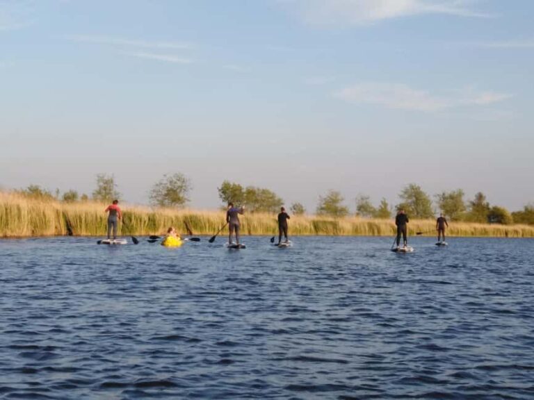 Early Bird Standup Paddletour to Fishing Harbours - Practical Details and What’s Included