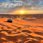 Early Morning Desert Safari With Camel Trekking Experience - What Makes This Tour Special?