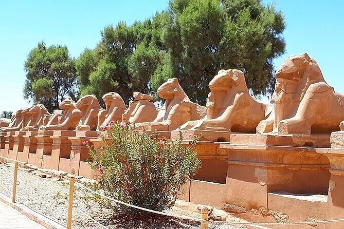 East Bank in Luxor Day Tour Karnak temple and Luxor Temple - Practical Details and Traveler Tips