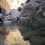 East Coast and Wadi Shab tour - The Experience from Reviews