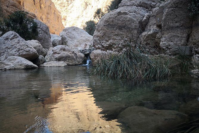 East Coast and Wadi Shab tour - The Experience from Reviews