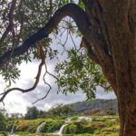 East of Salalah, Mountain Safari, Camels, Waterfall, White beach - Transportation, Duration, and Overall Value