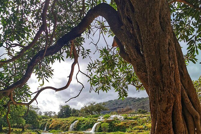 East of Salalah, Mountain Safari, Camels, Waterfall, White beach - Transportation, Duration, and Overall Value