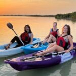 Eco Kayaking Adventure  Mangrove Exploration at Purple Island - Price and Value: Is It Worth the $75?