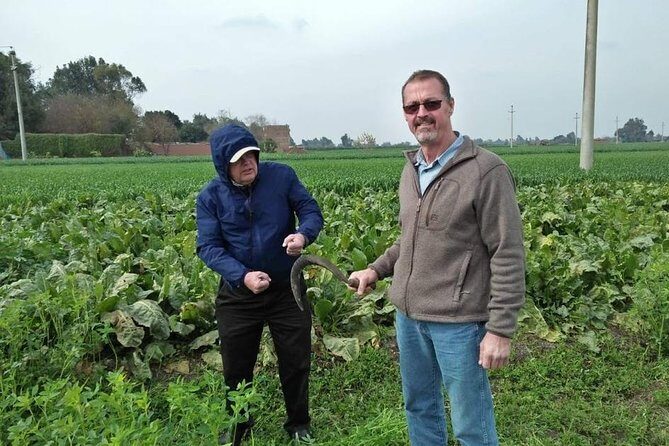 Egypt Day tour in countryside - Why This Tour Offers Great Value