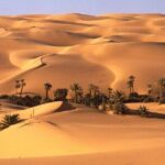 Egypt Desert Safari from Luxor Private - What You Can Expect from the Experience
