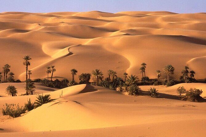 Egypt Desert Safari from Luxor Private - What You Can Expect from the Experience