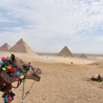 Egypt Tours package for 6 Days - The Experience: Transportation, Guides, and Logistics