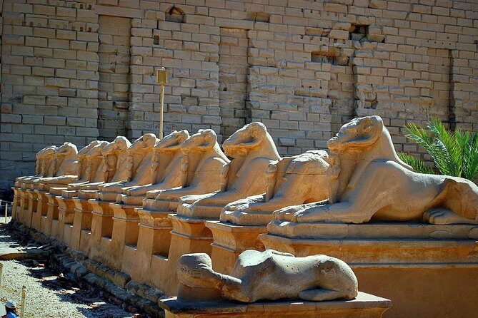 Egypt trip package for 8 nights with tours and a Nile cruise trip - Frequently Asked Questions