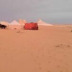 Egypt White Desert and Bahariya Oasis Tour 3 Days 2 Nights - Why This Tour Offers Excellent Value