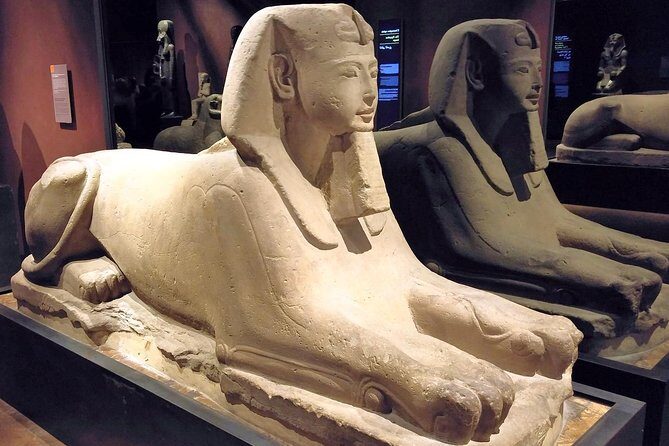 Egyptian Museum of Turin Private Tour with Expert Guide & Skip-the-line Tickets - Who Is This Tour Best For?