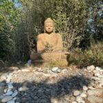 Ehrwald: Time to Relax-Outdoor Yoga in Mountain Scenery - Final thoughts
