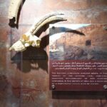 El Fayoum, Wadi El-Hitan & Wadi El-Rayan Day Trip from Cairo - Authentic Experiences and Traveler Perspectives