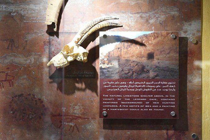 El Fayoum, Wadi El-Hitan & Wadi El-Rayan Day Trip from Cairo - Authentic Experiences and Traveler Perspectives