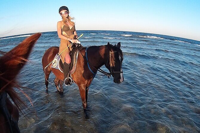 El Gouna Horse Ride Tour - An Authentic Horseback Experience Rooted in Reviewers’ Insights