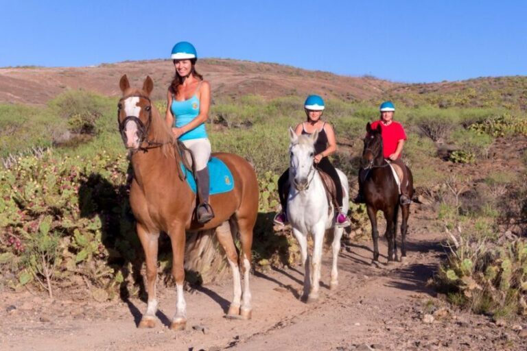 El Salobre: Horse Riding Adventure with Transfer Options - Practical Tips for Your Ride