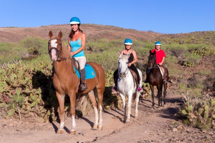 El Salobre: Horse Riding Adventure with Transfer Options - Practical Tips for Your Ride