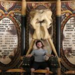 Elephant Experience & Lesedi Cultural Village - Authentic Experiences and Review Insights
