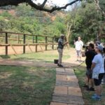 Elephant Sanctuary Tour From Johannesburg - Analyzing the Value