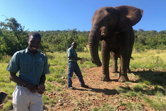 Elephant Sanctuary Tour from Johannesburg - Why This Tour Offers Great Value