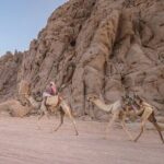 Elite Safari: ATV Quad, Camel, Dinner & Show in Sharm El Sheikh - Authentic Experiences and Highlights from Reviews