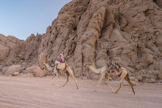 Elite Safari: ATV Quad, Camel, Dinner & Show in Sharm El Sheikh - Authentic Experiences and Highlights from Reviews