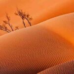 Empty Quarter And Lost City Of Ubar - Authentic Feedback from Past Travelers