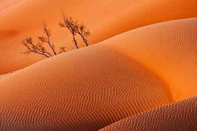 Empty Quarter And Lost City Of Ubar - Authentic Feedback from Past Travelers