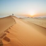 Empty Quarter 'Rub Al Khali' Day Tour - 4X4 Safari Adventure - Key Points