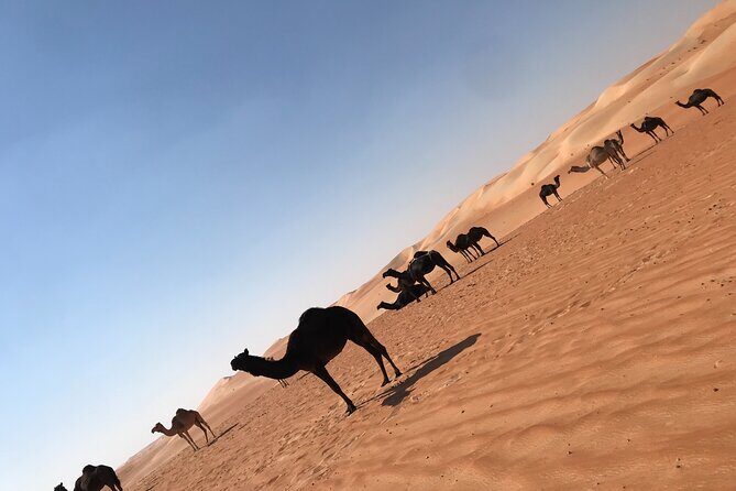 Empty Quarter Sunset Desert Safari - The Sum Up