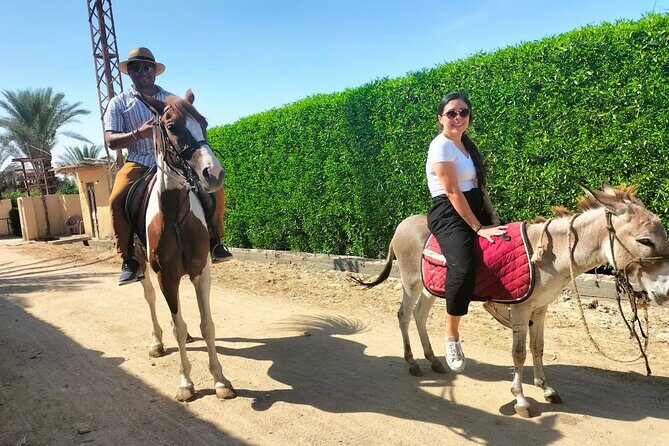 Enjoy Fayoum & Sandboarding with Egyptian Lunch at Tunis village. - The Value of This Tour