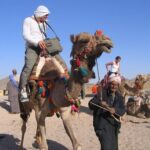 Enjoy The Family safari Adventure in the desert of Hurghada - Authenticity and Value: What Travelers Say