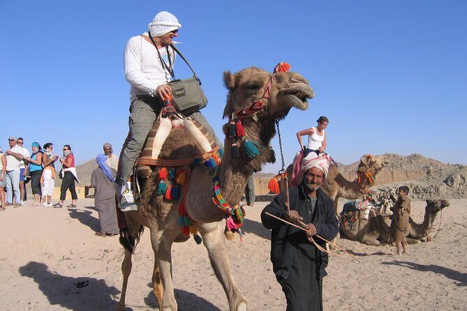 Enjoy The Family safari Adventure in the desert of Hurghada - Authenticity and Value: What Travelers Say