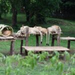 Entebbe Eco Tour - Full Day - What’s Included and What’s Not?