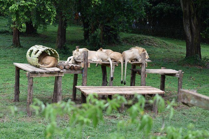 Entebbe Eco Tour - Full Day - What’s Included and What’s Not?
