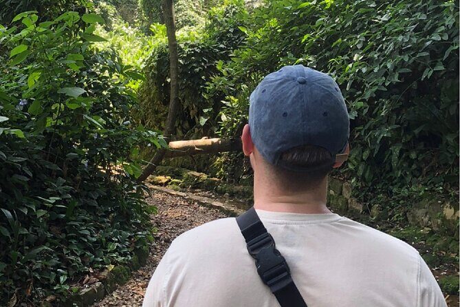 Entebbe Walking Tour (3 Hours) with Zoo and Botanical Gardens Options - An In-Depth Look at the Entebbe Walking Tour Experience