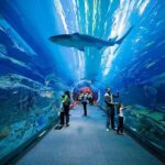 Entrance to Dubai Aquarium and Underwater Zoo - The Itinerary Breakdown: What You Can Expect